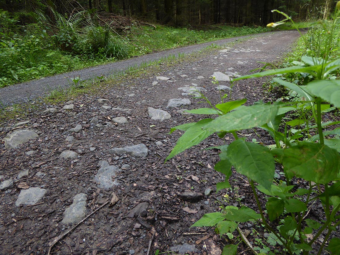 Verschiedene Aspekte des heutigen Weges, der den Verlauf des alten Handelsweges folgt