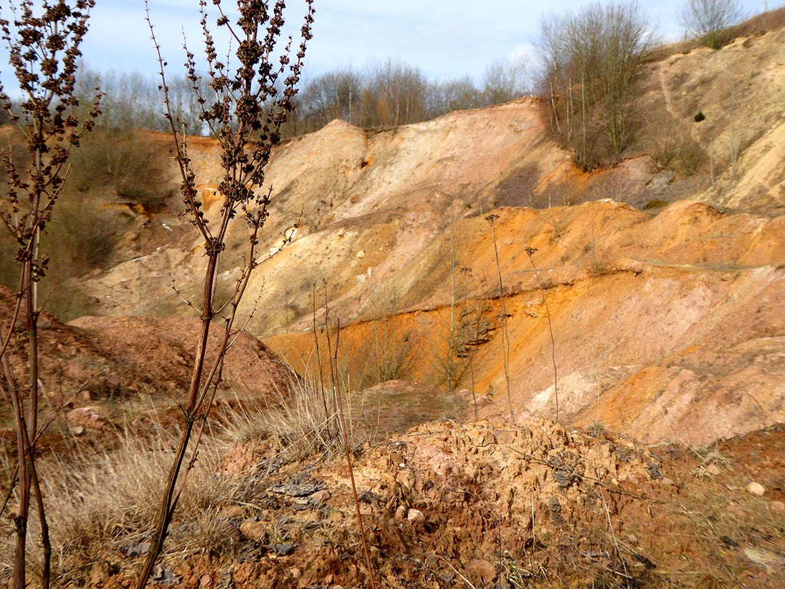 Sandaufschluss aus dem Tertiär zwischen Sohlingen und Kammerborn