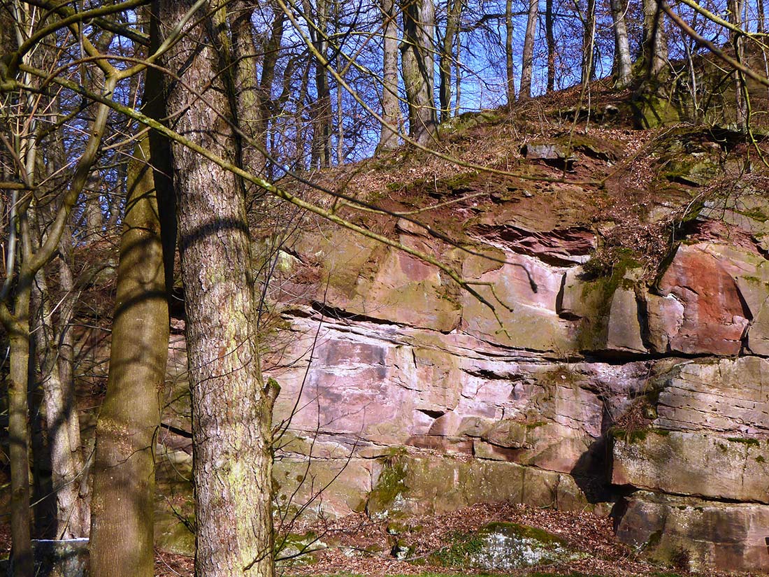 Steinbruch im Bausandstein der Solling-Folge (Trögen)