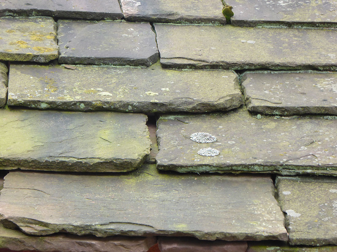 Beispiele für die Nutzung als Dachplatten (Einbeck)