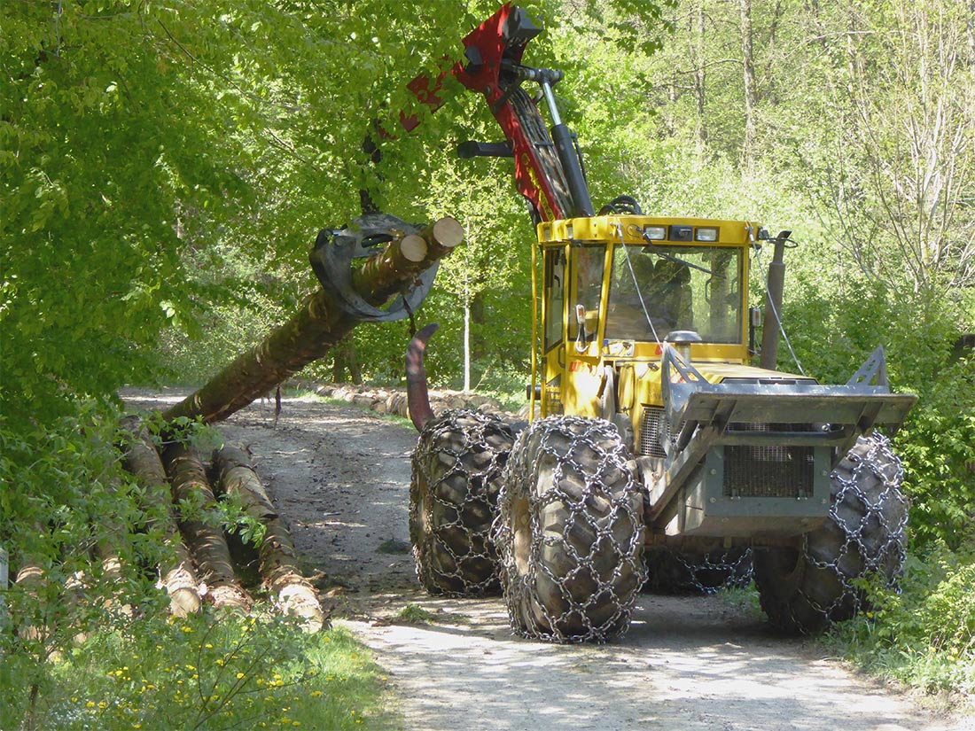 Beim Zusammentragen der Holzstämme wurde früher Holzrückepferde eingesetzt; heute erledigen Maschinen diese Arbeit