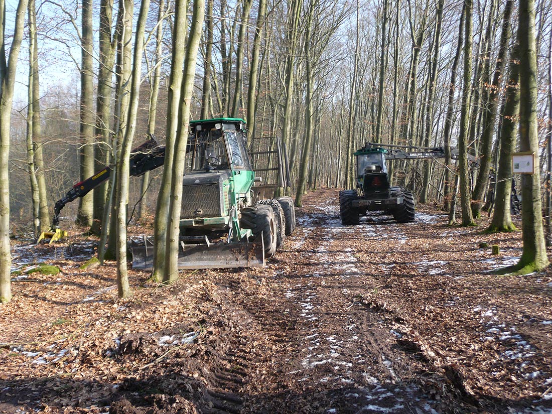 Massiver Maschineneinsatz bei der Holzernte