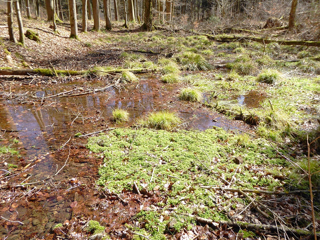 Ein wichtiger Aspekt für eine Besiedlung war das Vorkommen von Wasser