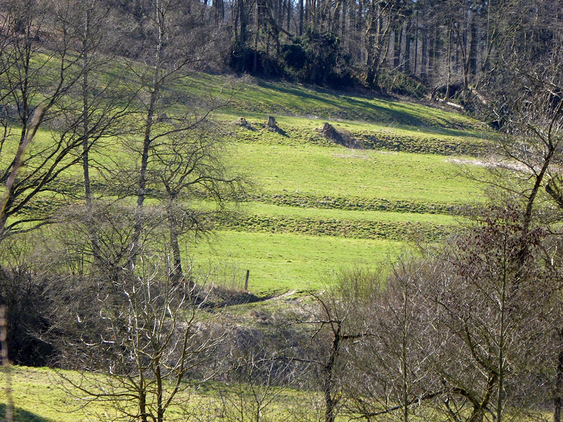 Grünfläche im Bereich der ehemaligen Siedlung